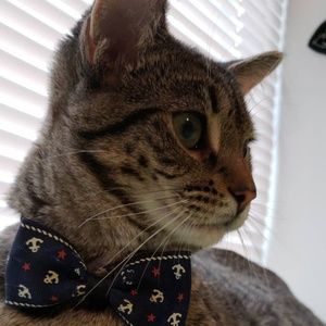 Meet your Posher, Karla